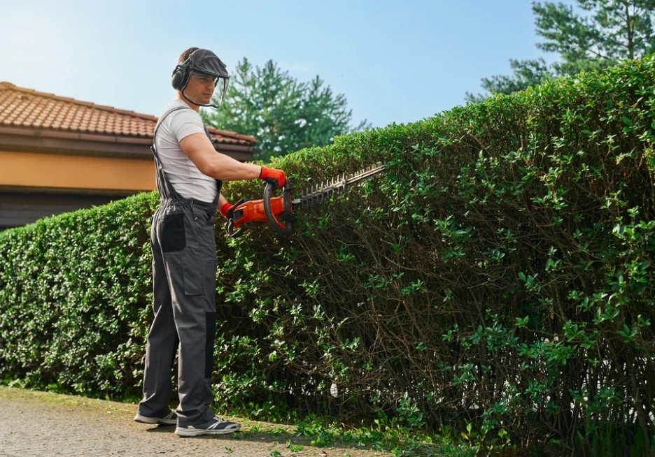 Ag Espace Vert Entretien Espace Vert Vence Entretien Despaces Verts 2