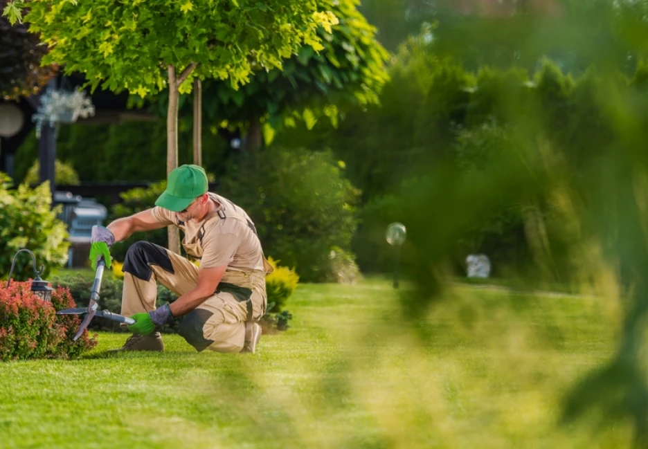 Ag Espace Vert Entretien Espace Vert Vence Entretien D Espaces Verts